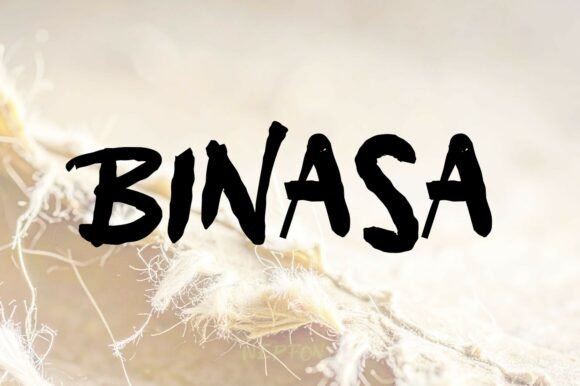 Binasa: The Raw Brush Script with Untamed Energy